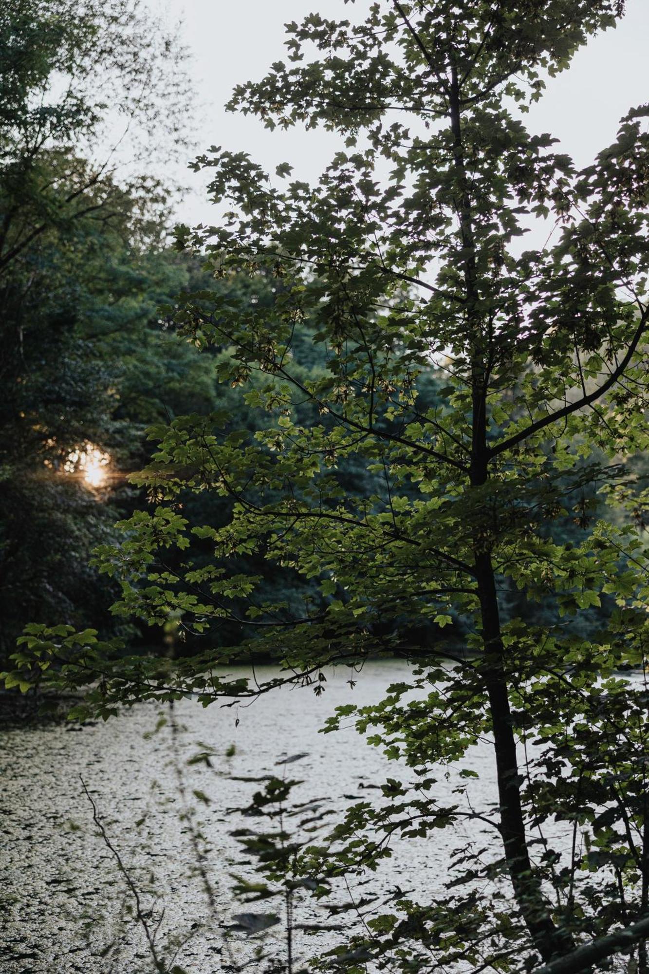 Am Annaweiher Hinterweidenthal